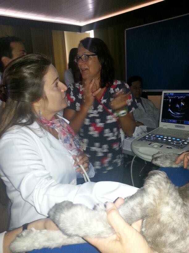 Dra-Adriana-Leivas-Veterinaria-05